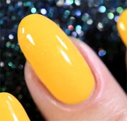 WNP035 Bear Trap, Gust Of Wind, Whats Up Nails