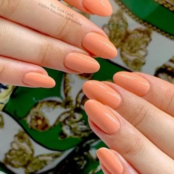 181 Salmon Run, CND Vinylux, Flora & Fauna Collection