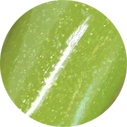 WNP036 Tuscan Harvest, Gust Of Wind, Whats Up Nails