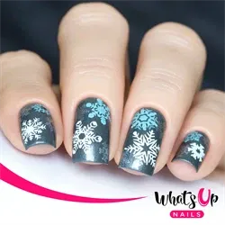 A014 Holiday Snowfall Stamping Plate