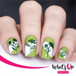 A020 Floralize Your Texture, stampingplade, Whats up Nails