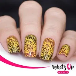 B053 That's Pretty Autumn!, stampingplade, Whats up Nails