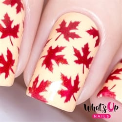 WV388 Maple Leaves Stencils, 2 ark, (24 stk) Whats Up Nails