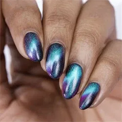 WNP040 Polar Light Show, Magnetisk neglelak, Whats Up Nails